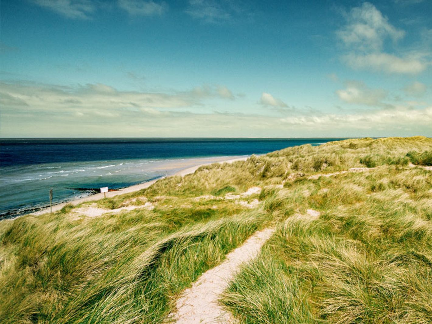 Strand Ellenbogen | niemannfrank - stock.adobe.com