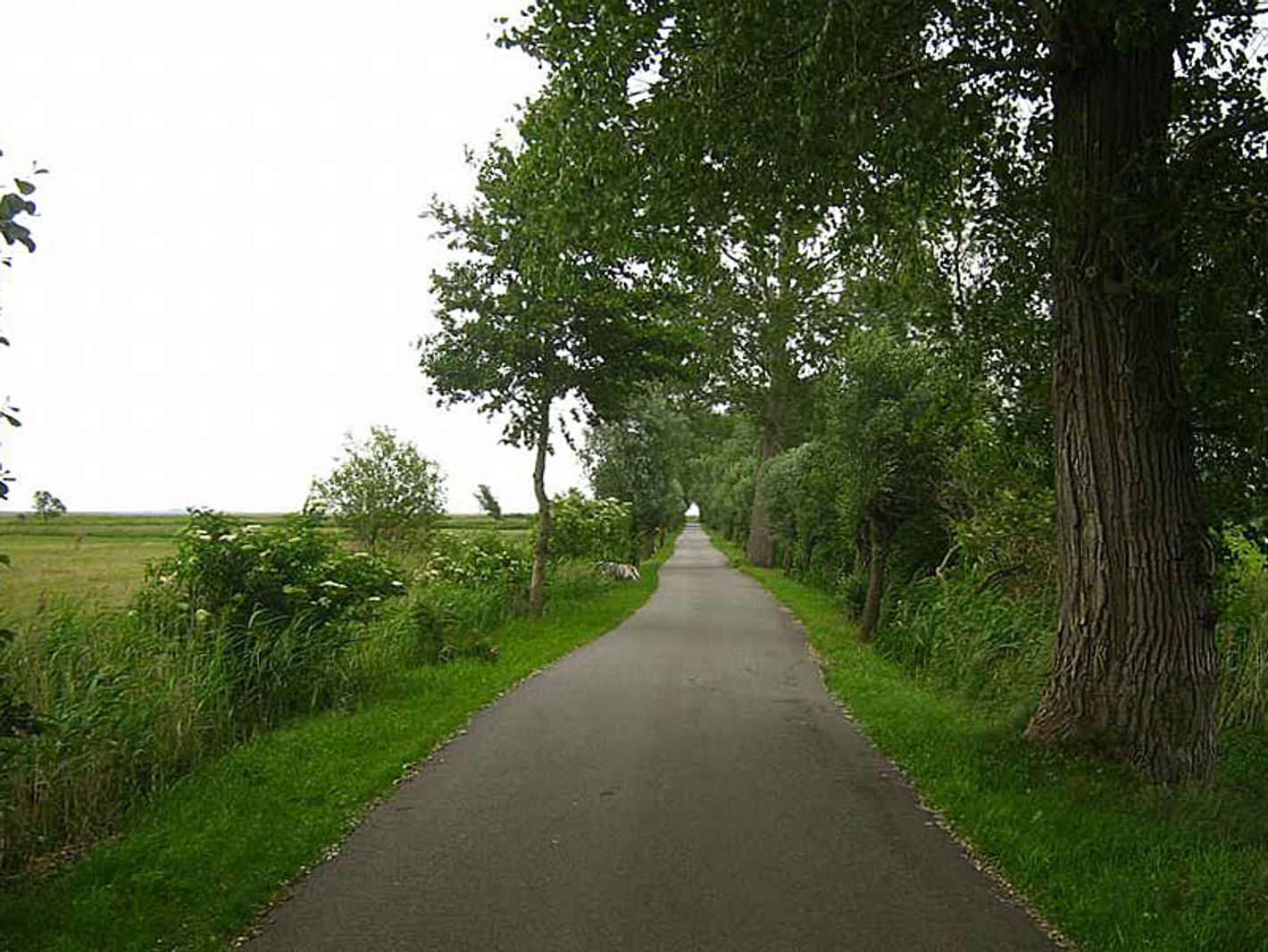 Naturlehrpfad August Bartelt | Botaurus - Wikipedia