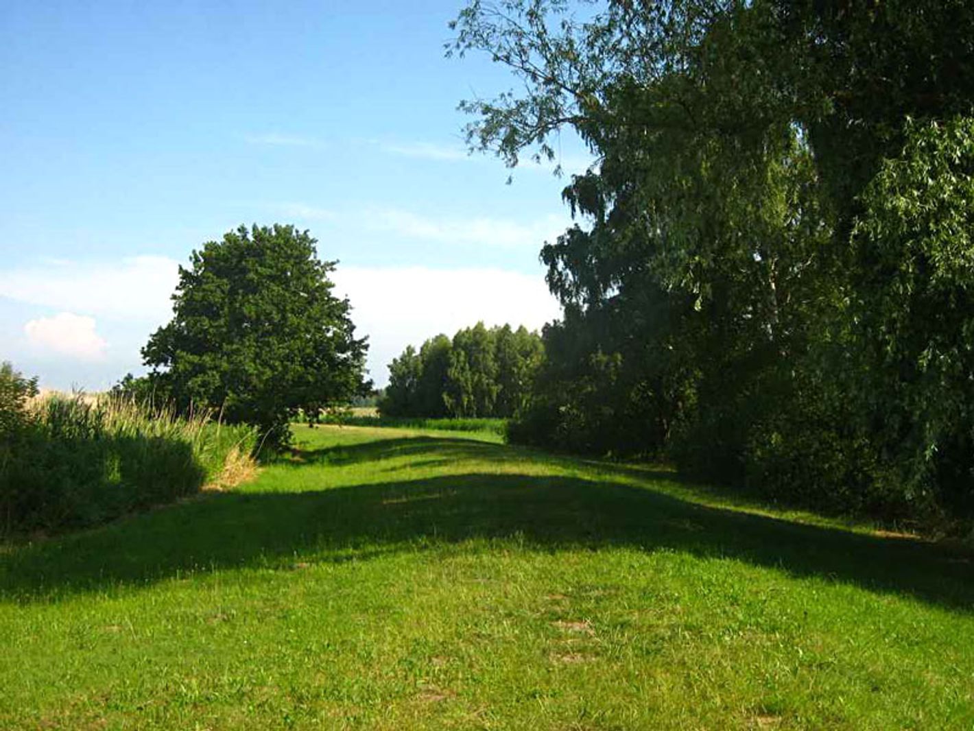 Naturpark Stettiner Haff - Besucherzentrum | Botaurus - Wikipedia