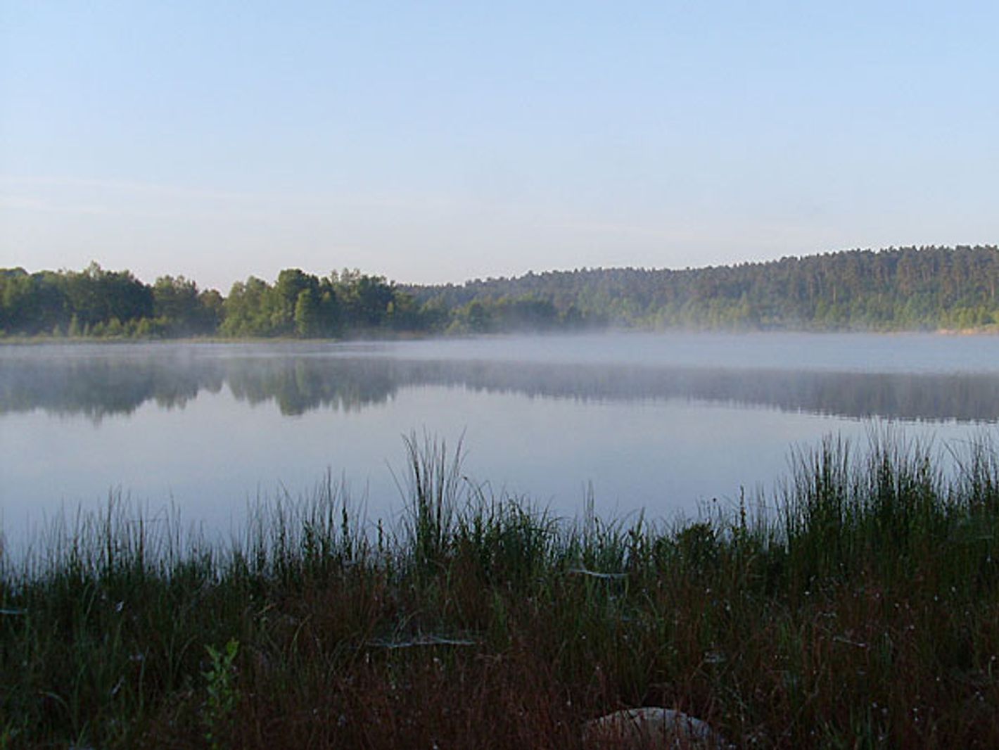 Fürstenseer See im Morgennebel | © S. Wildermann