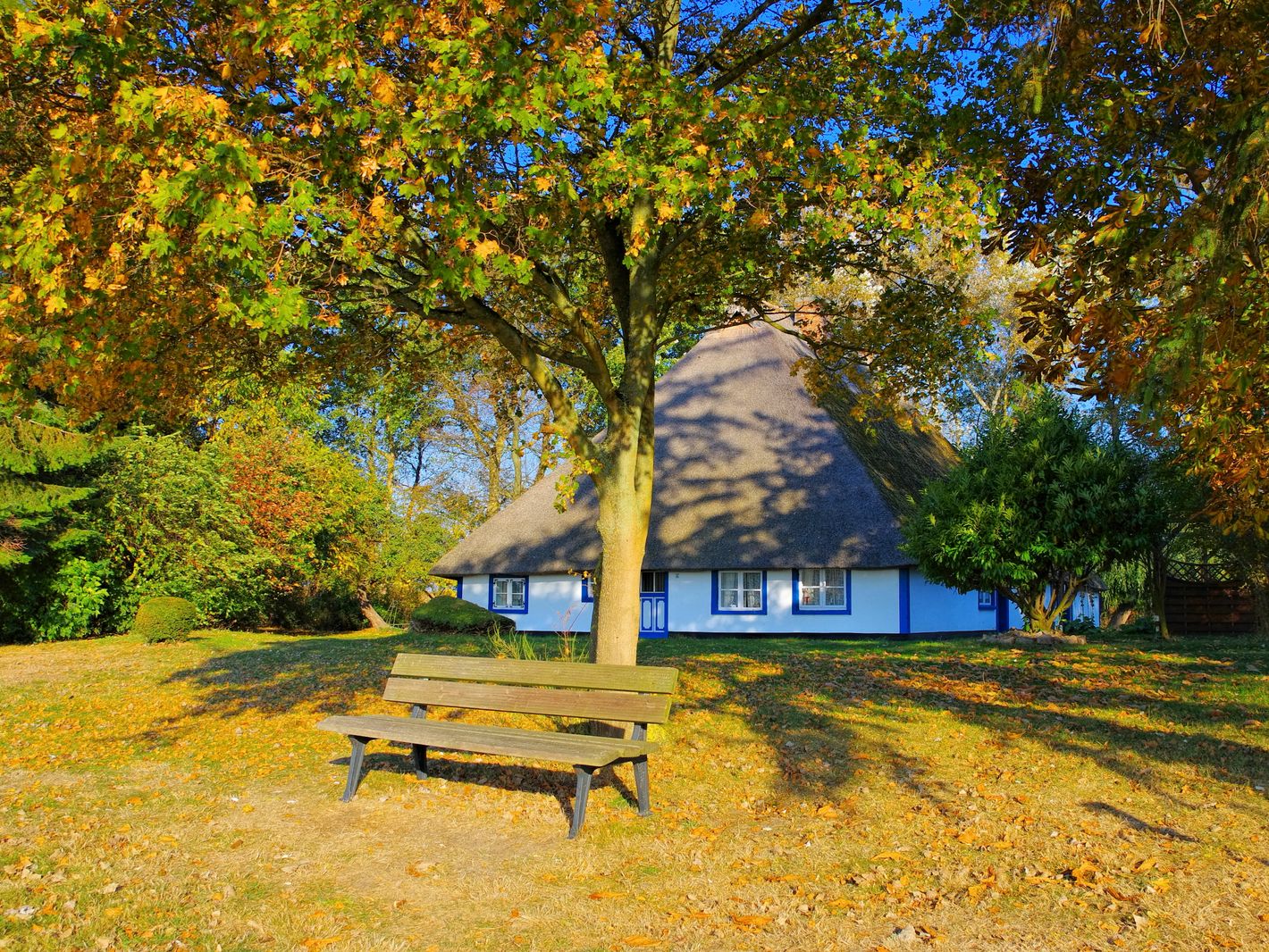 Freesenort im Herbst | © LianeM
