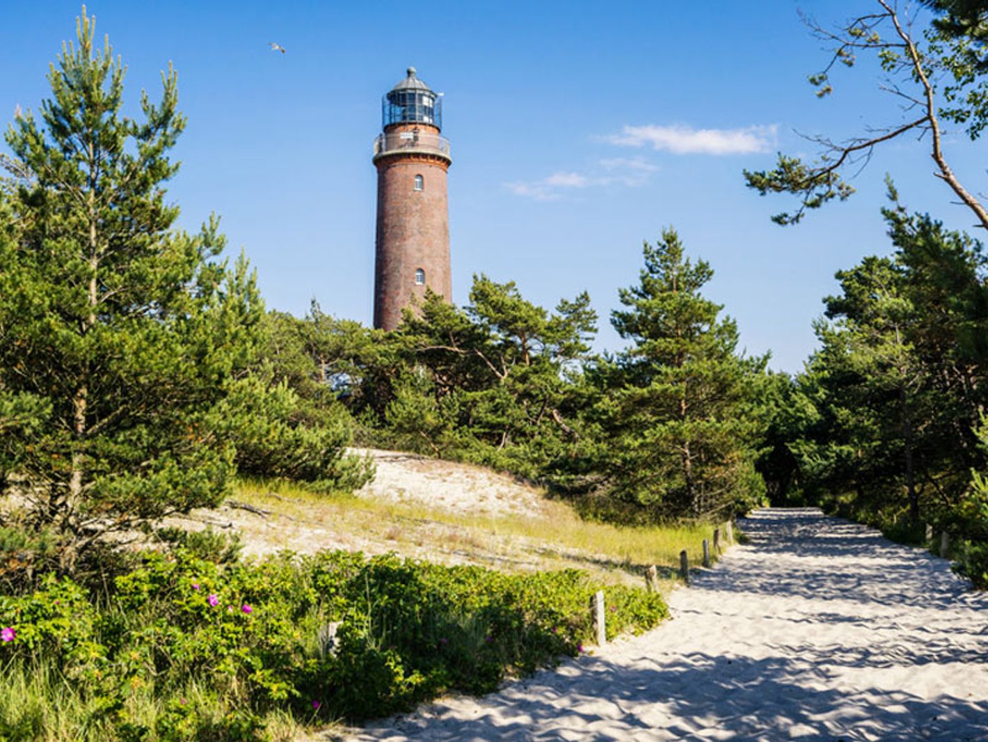 Leuchtturm Darßer Ort