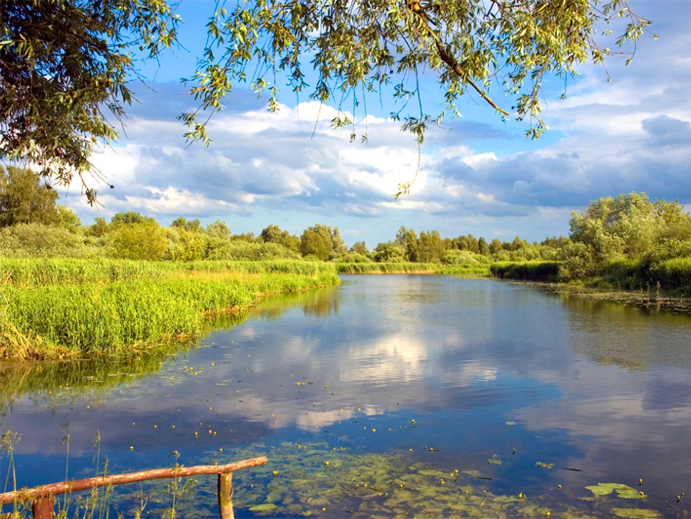 Rad- und Wandertour "Zwischen Bodden und Meer"