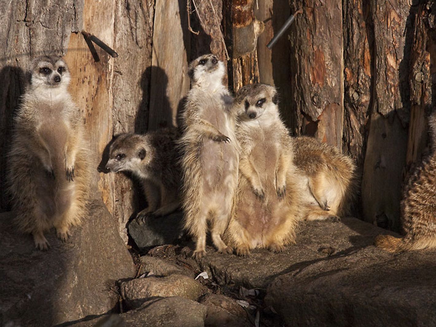 Tierpark Greifswald