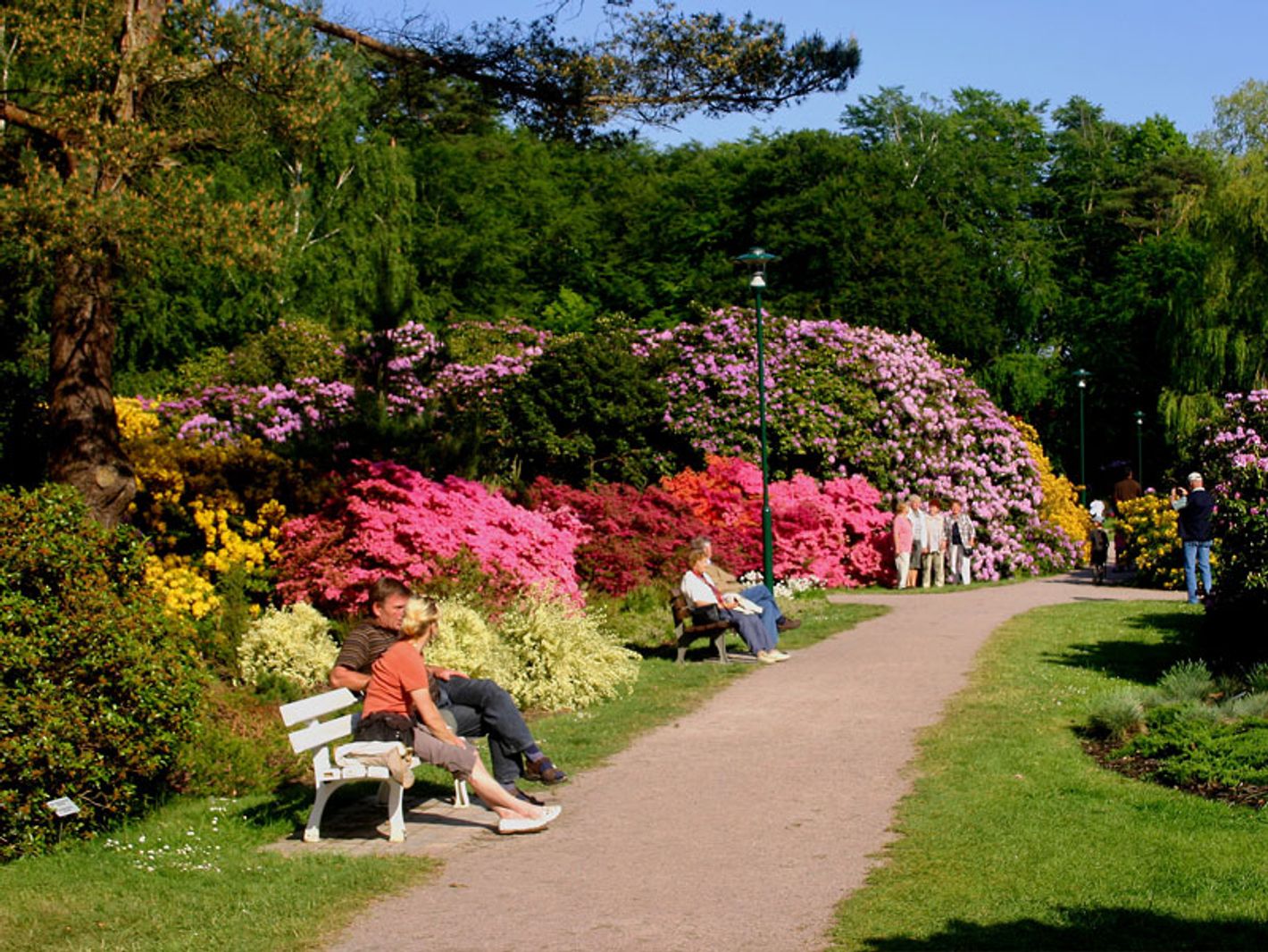 Rhododendronpark Graal-Müritz
