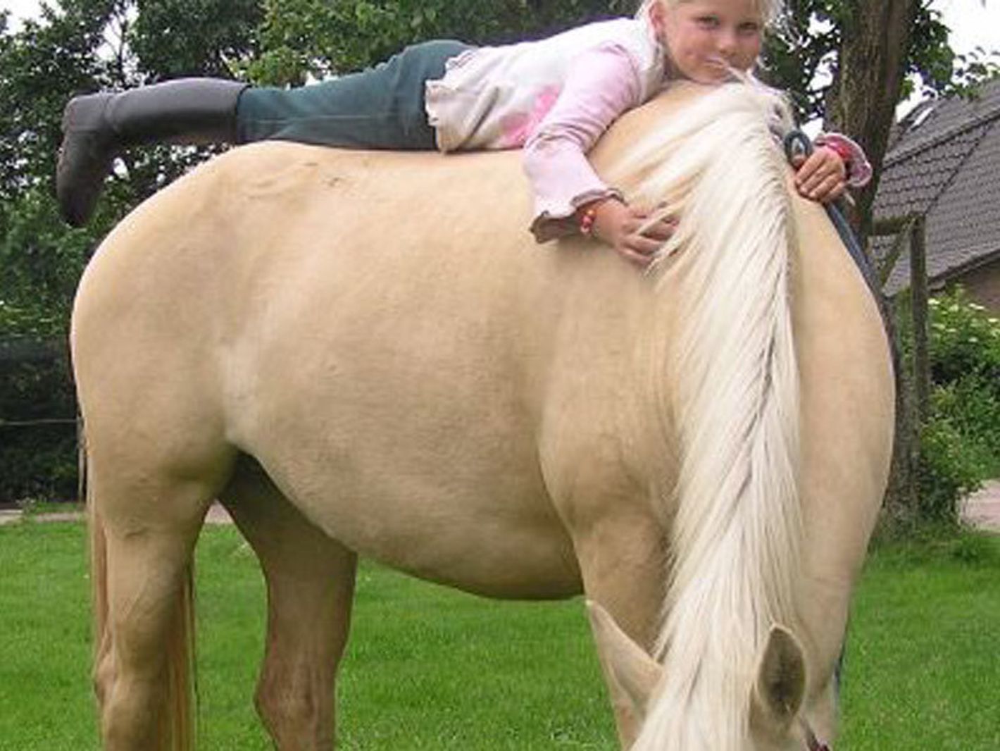 Reitanlage Biohof Donst