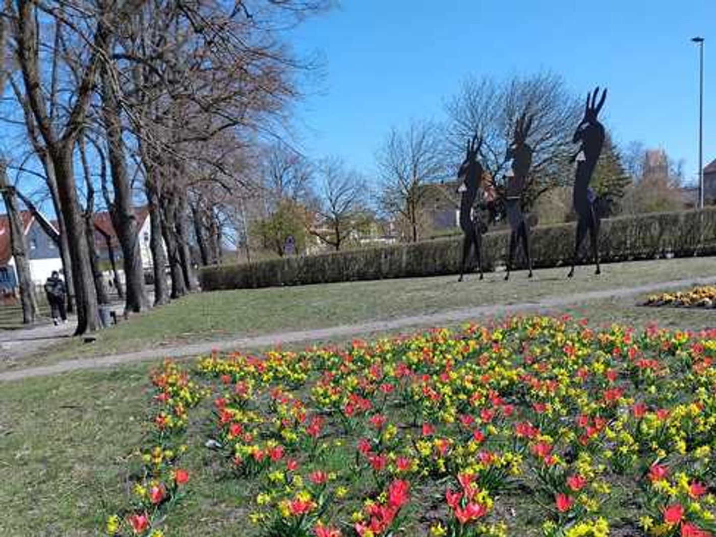 Blumenbeet in einem Park