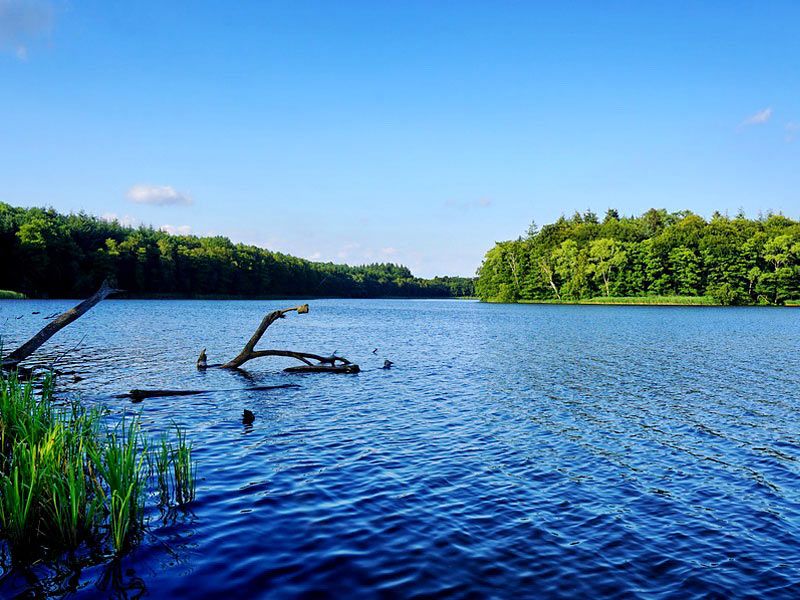 Bioshphärenreservat Schaalsee - nützliche Tourismus-Informationen