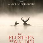 Poster Film