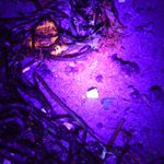 Der Strand leuchtet | © GeoPark Nordisches Steinreich