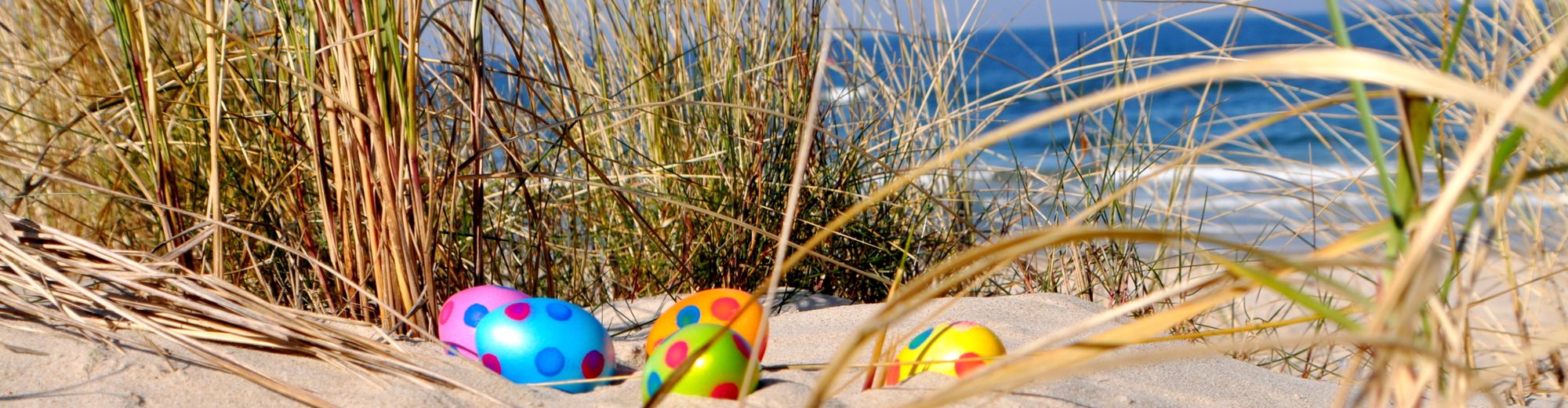 Ostereier in den Dünen der Ostsee | © textag - stock.adobe.com