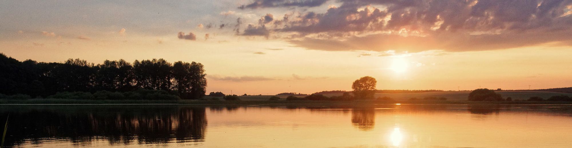 © helmut Schmidt - stock.adobe.com