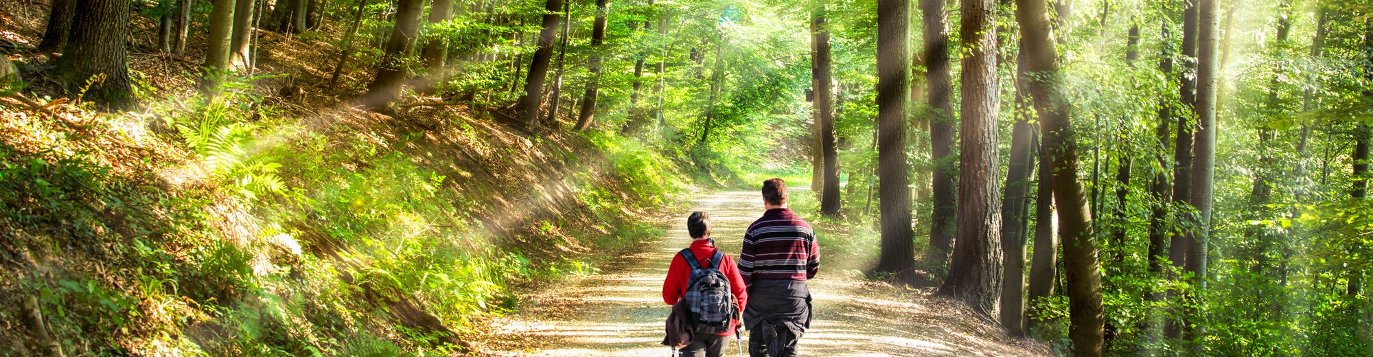 Spaziergang im Wald | © eyetronic - stock.adobe.com
