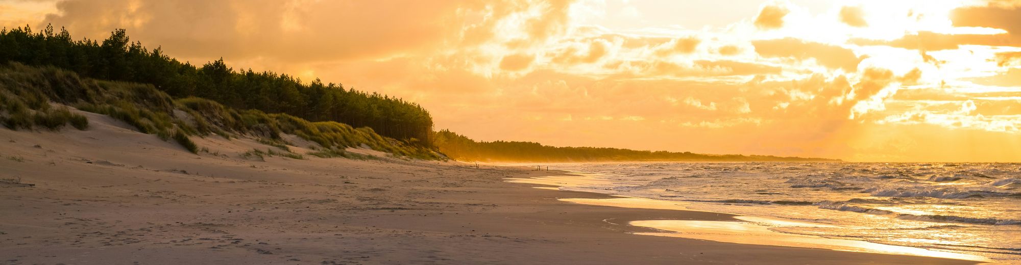 Strand mit Wald im Hintergrund in orangenem Abendlicht