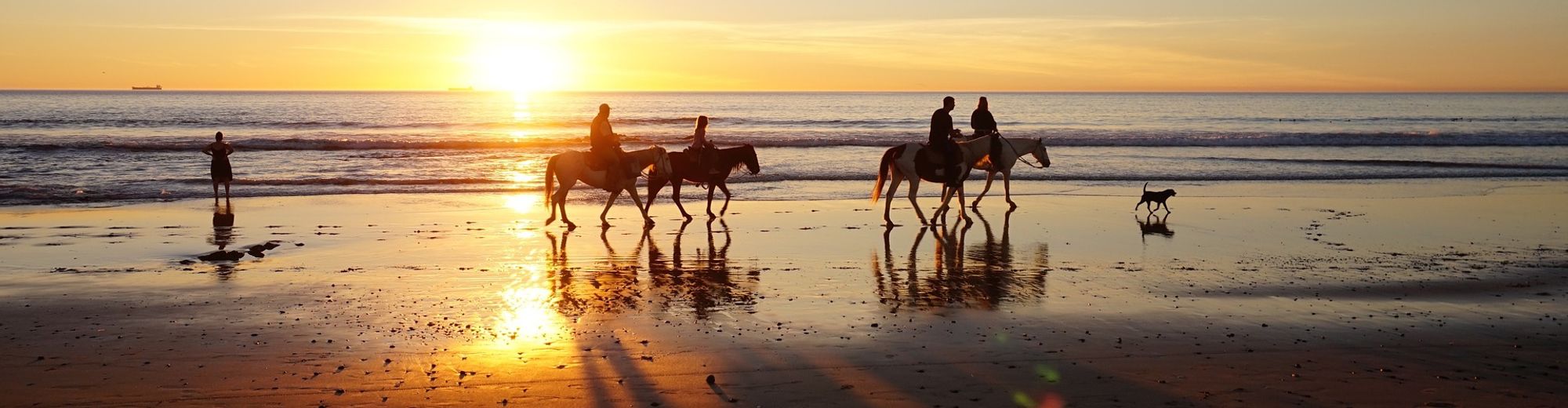 Mehrere Reiter auf ihren Pferden reiten bei Sonnenuntergang am Strand entlang
