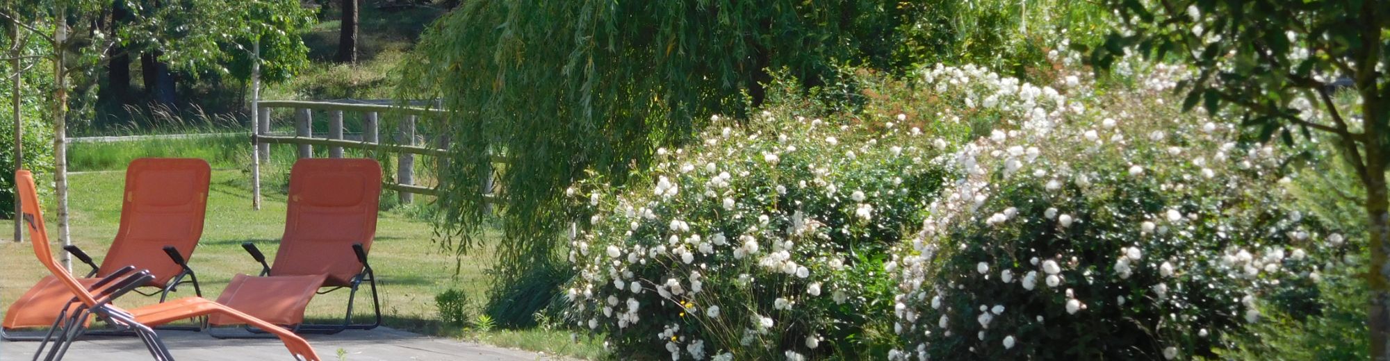Sonnenliegen vor blühenden Büschen und dem Holzzaun einer Pferdekoppel