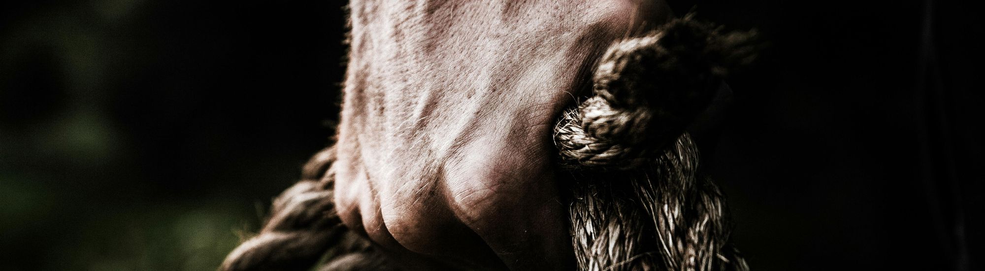 Muskulöse Hand hält ein zusammengerolltes Seil