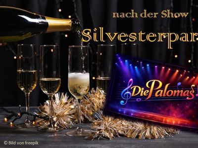 (c) Landauer Weihnachtscircus