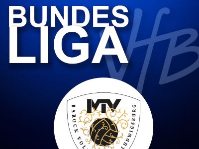 VfB