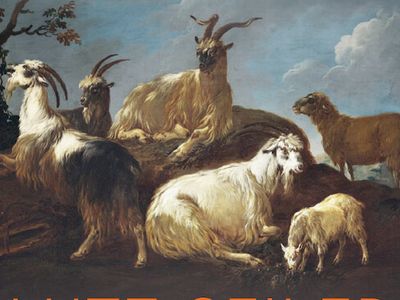© Suhrkamp