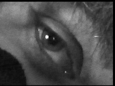Filmfest