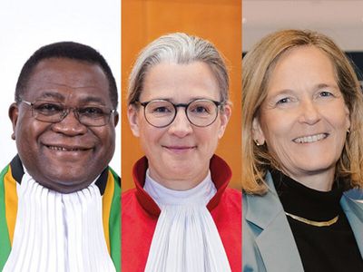 © v.l.n.r.: African Court & Human Rights; Bundesverfassungsgericht; EGMR