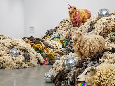 A symphony of wool © Anika Marquardt