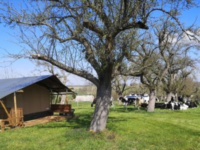 Safarizelt – Minicampingplatz MiO