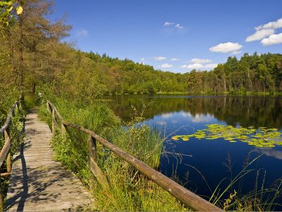 Müritz-Nationalpark