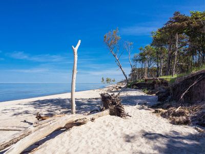Nationalpark Vorpommersche Boddenlandschaft