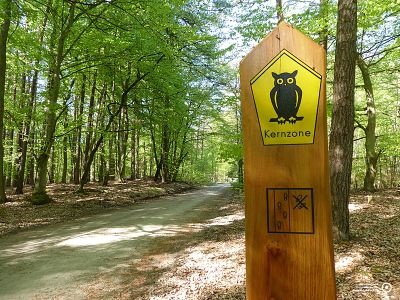 Weg durch die Kernzone | © Lucia Zust