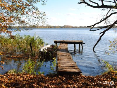 Steg am Schaalsee in Zarrentin | © S.Hoffmeister