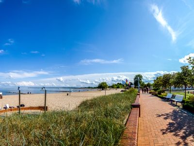 Strand in Ueckermünde | © Sina Ettmer - stock.adobe.com