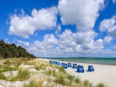 Prora, Insel Rügen | © Sina Ettmer - stock.adobe.com