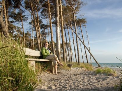 Strand mit Bank | © autofocus67 - stock.adobe.com