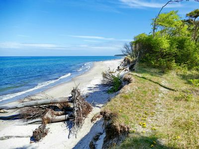 natürlicher Weststrand  | © haiderose - stock.adobe.com