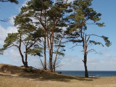 Küstenlandschaft bei Lubmin | ©  Jay Migge - stock.adobe.com