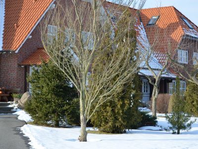 Silvester in Langen Brütz
