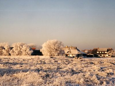 Winterspaß und Neujahr