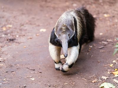 © Zoo Schwerin