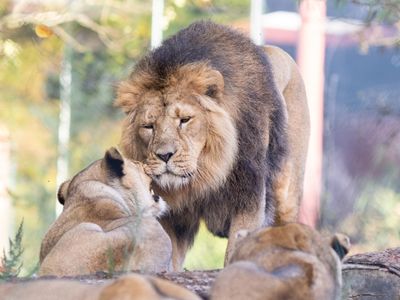© Zoo Schwerin