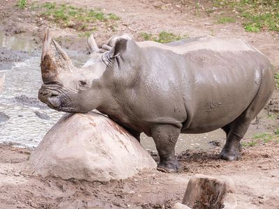 © Zoo Schwerin