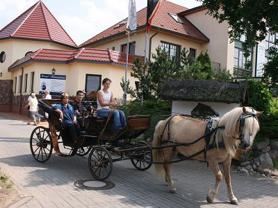 Angebote für Pferdefreunde vom Landhotel Borstel-Treff