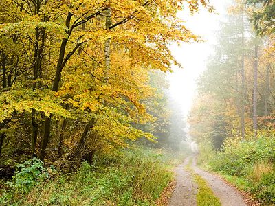 Wandern an der Müritz