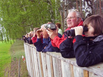 Adlersafari im Müritz-Nationalpark