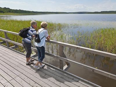 Wanderangebot vom Landhaus Rügeband
