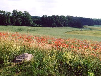 Eiszeitroute von Feldberg nach Fürstenberg