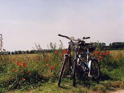 Eiszeitroute von Malchin zur Hansestadt Demmin