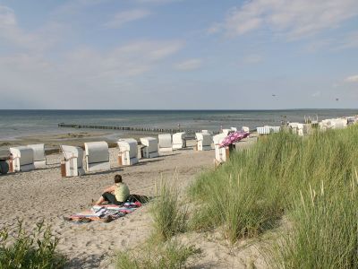 Strand Schwarzer Busch
