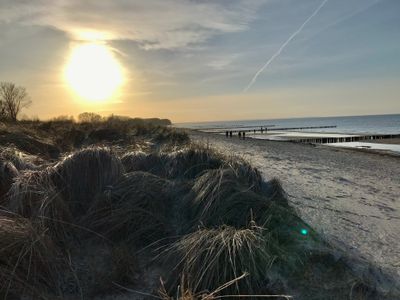 Dünen-Küstenschutz am Schwarzen Busch | © Matthias Röck | mvp.de
